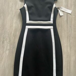 Calvin Klein work dress